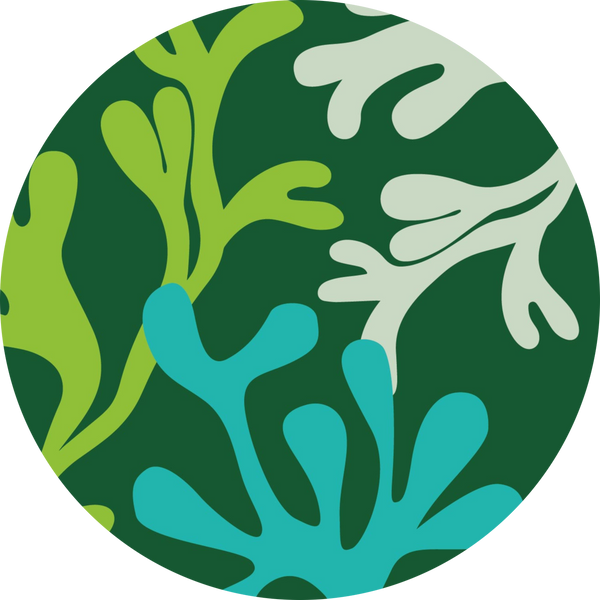 Green Castle Kelp