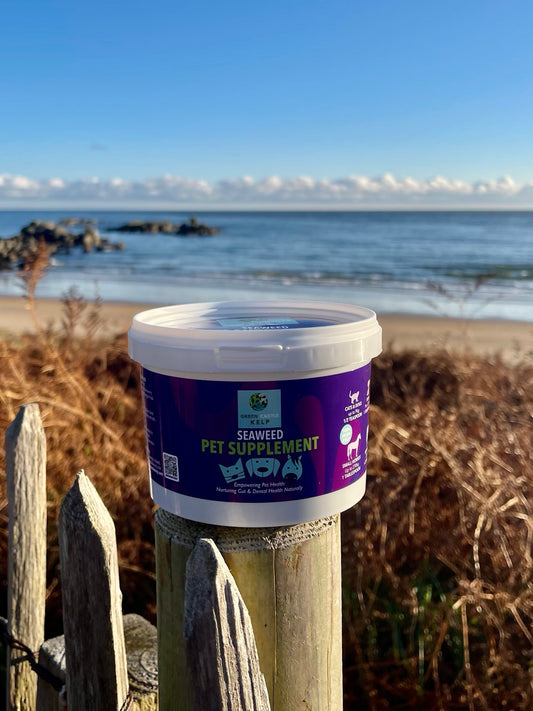 Seaweed Pet Supplement
