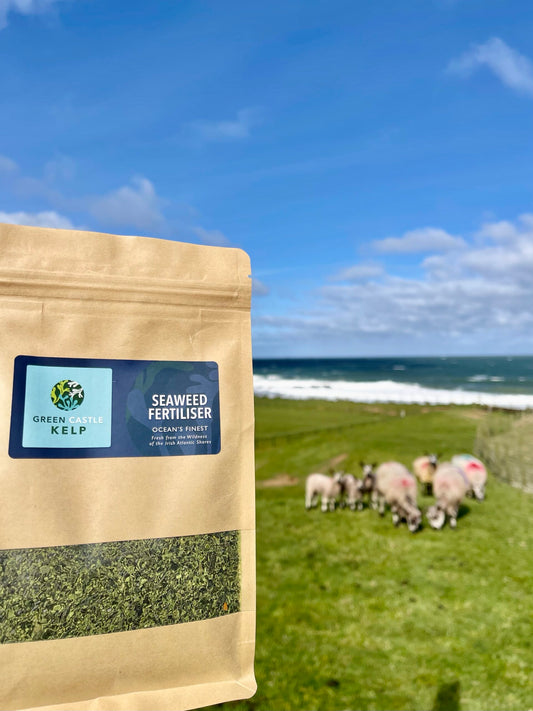 Seaweed Fertiliser