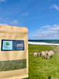 Seaweed Fertiliser